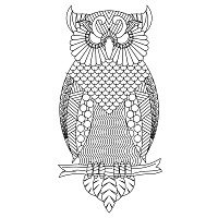 cb zen owl